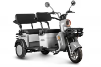 Электротрицикл Rutrike Gelbert Beta 48V/60V 800Вт Серебристо-белый HV Market