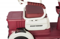 Электротрицикл Rutrike Gelbert Mercury 48V/60V 650Вт Бело-красный HV Market