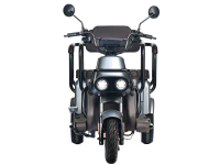 Электротрицикл Wanshida U1-X 60V 800Вт Серый HV Market
