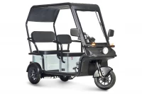 Электротрицикл Wanshida NIPLA 570 60V 1000Вт Зеленый HV Market