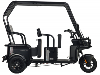 Электротрицикл Wanshida NIPLA 570 60V 1000Вт Зеленый HV Market
