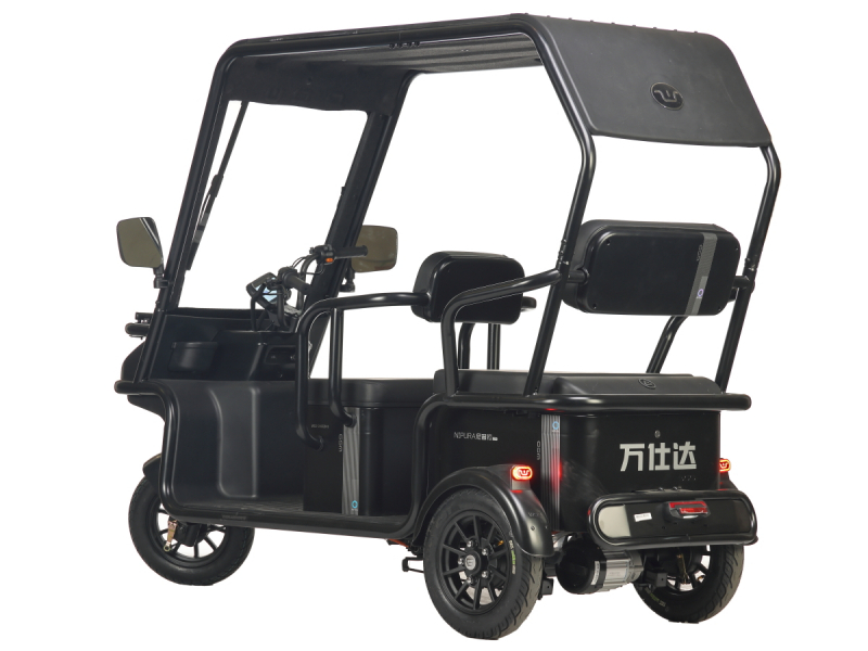 Электротрицикл Wanshida NIPLA 570 60V 1000Вт Зеленый HV Market