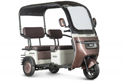 Электротрицикл Rutrike Gelbert Sarin 48V/60V 1000Вт Коричнево-белый HV Market