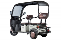 Электротрицикл Rutrike Gelbert Sarin 48V/60V 1000Вт Коричнево-белый HV Market