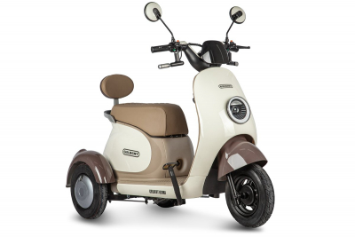Электротрицикл Rutrike Gelbert Ogma 48V/60V 650Вт Бело-коричневый HV Market