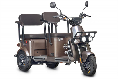 Электротрицикл Wanshida U1-X 60V 800Вт Коричневый HV Market