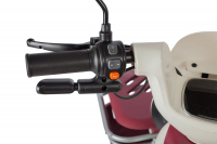 Электротрицикл Rutrike Gelbert Mercury 48V/60V 650Вт Черный HV Market