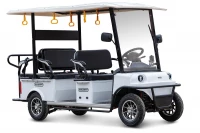 Гольф-кар мини Gelbert Fact 60V 1200Вт Синий HV Market