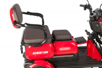 Электротрицикл Rutrike Gelbert Sun 48V/60V 650Вт Красный HV Market