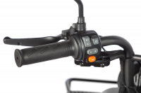 Электротрицикл Wanshida LC300 60V 1000Вт Черный HV Market