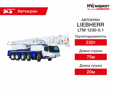LIEBHERR LTM 1230-5.1 HV Market