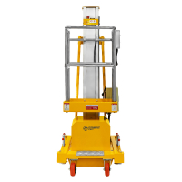 Подъемник мачтовый несамоходный GTWY 8-100 (T) (AC&DC; 125 кг; 8 м) SMARTLIFT HV Market